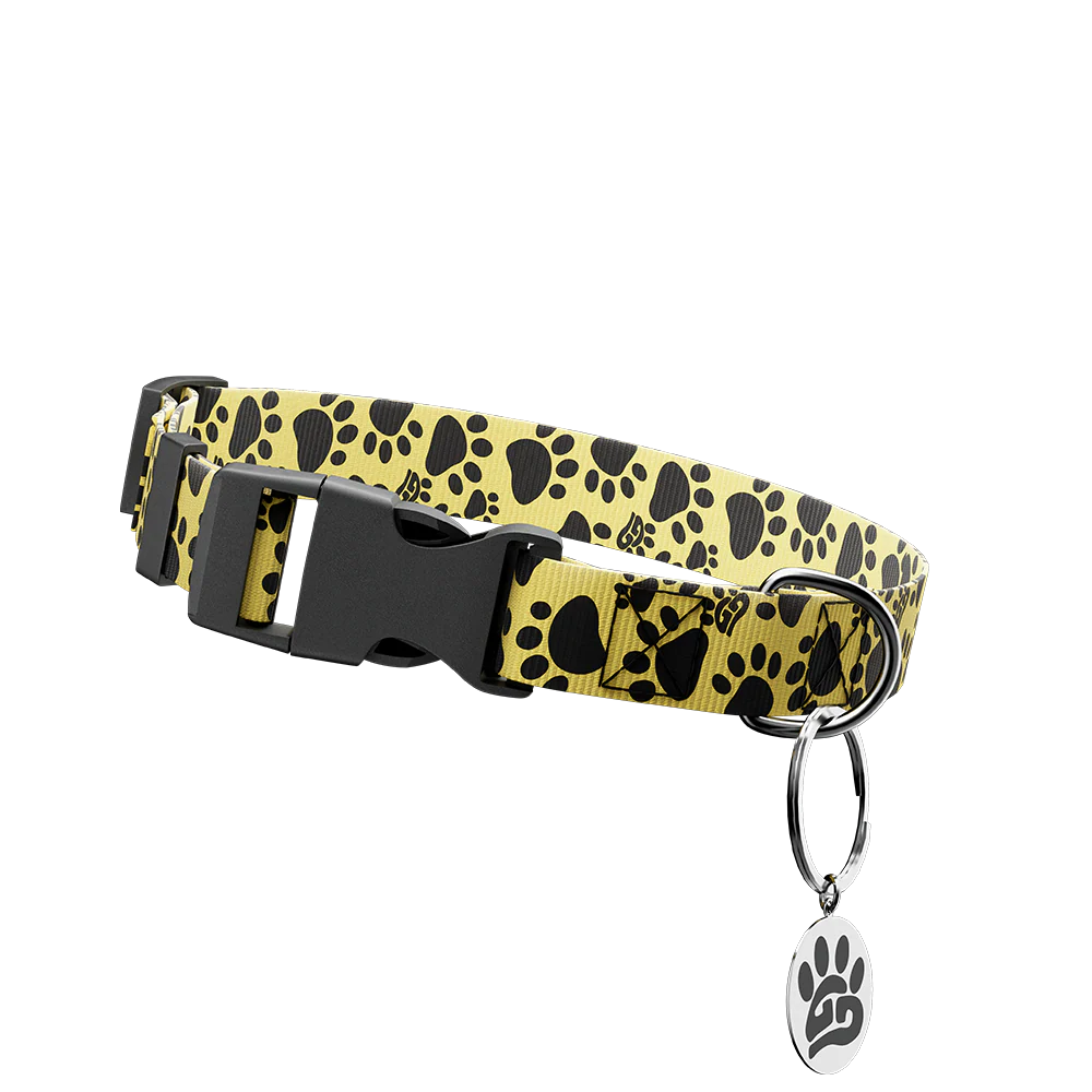 WOOF: Dog Leash & Collar - Image 4
