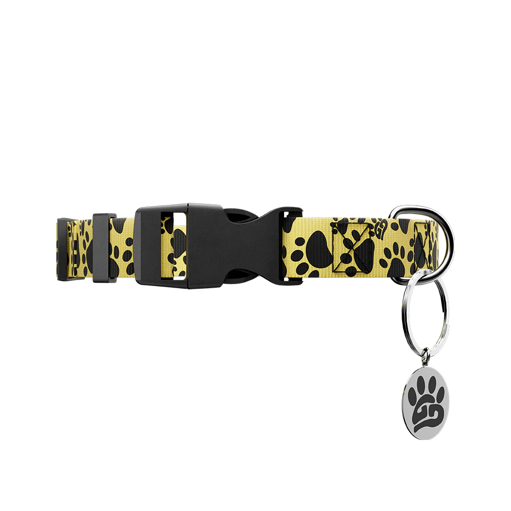 WOOF: Dog Leash & Collar - Image 5