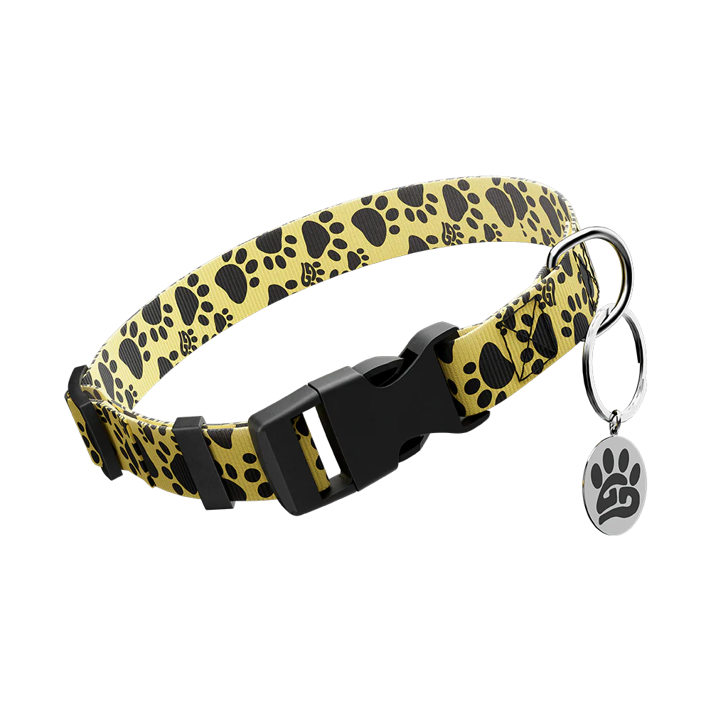 WOOF: Dog Leash & Collar - Image 6